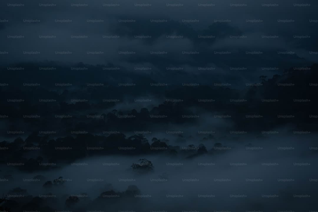 三甲医生回应易烊千玺刮痧高烧 刮痧后洗澡需谨慎